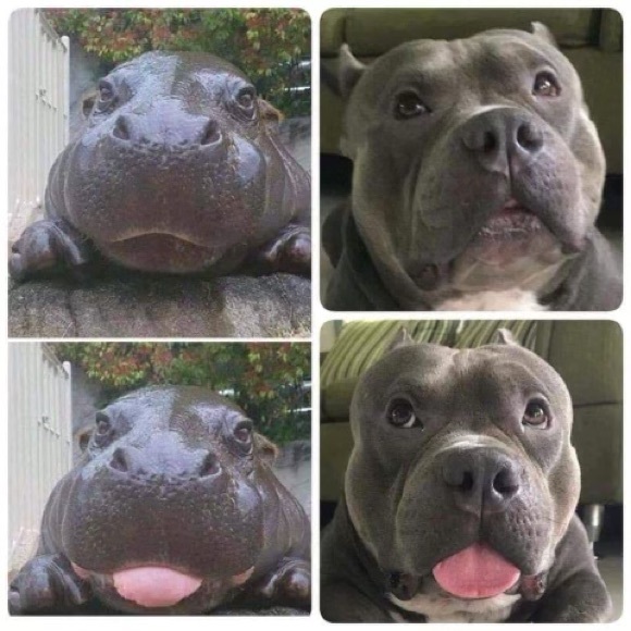 🌸new stuff soon!!!🌸 - Picture 9 of 16